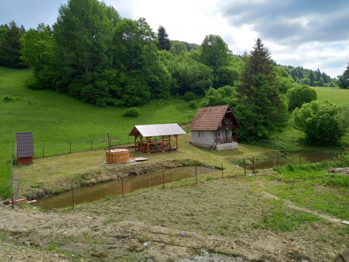Cabane Areama Neagra Izvoru Mureşului Exterior foto